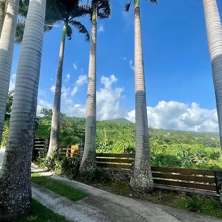 Grande Villa Au Calme - Vue Exceptionnelle - Climatisation - Piscine Sel Chauffee - Jardin Tropical Vincendo Luaran gambar