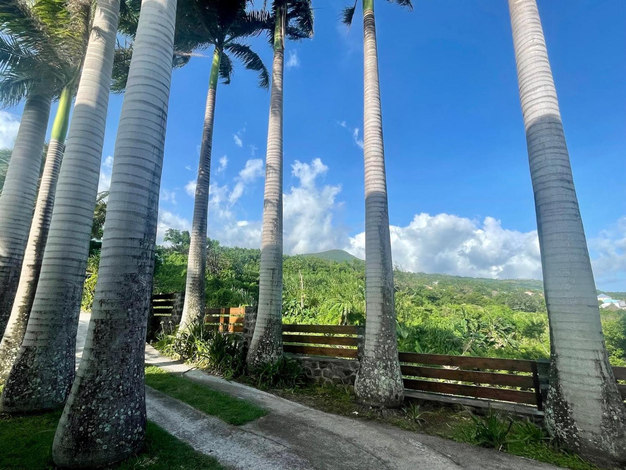 Grande Villa Au Calme - Vue Exceptionnelle - Climatisation - Piscine Sel Chauffee - Jardin Tropical Vincendo Luaran gambar